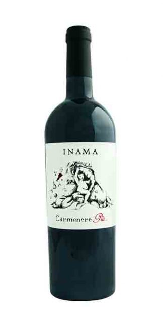 Veneto Carmenere Più 2012 Inama - Wine il vino