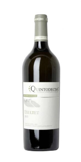 Fiano d'Avellino Exultet 2016 Quintodecimo white wine - Wine il vino