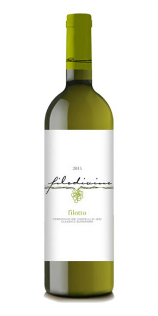 Verdicchio dei Castelli di Jesi Classico Superiore Filotto 2015 Filodivino - Wine il vino
