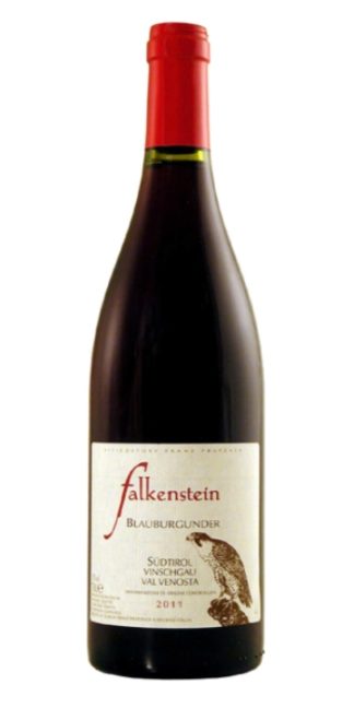 vendita vini on line pinot nero falkenstein - Wine il vino