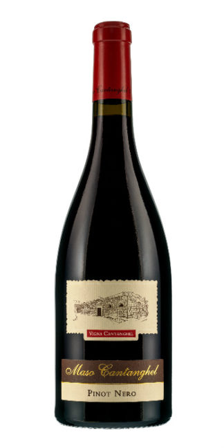 Trentino Pinot Nero Vigna Cantanghel 2016 Maso Cantanghel - Wine il vino