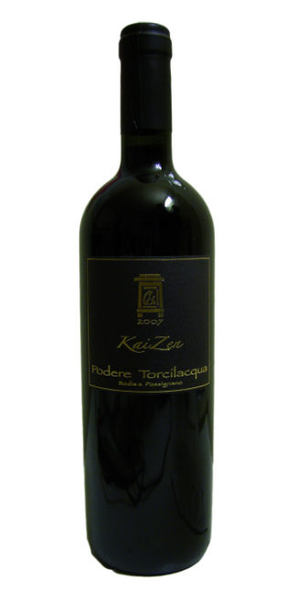 Toscana Merlot Kaizen 2012 Torcilacqua - Wine il vino