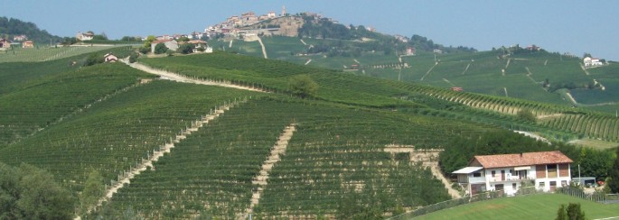 vendita vini on line Barolo Brunate