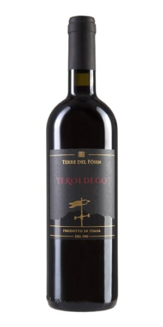 vendita vini on line teroldego-terre-del-fohn - Wine il vino